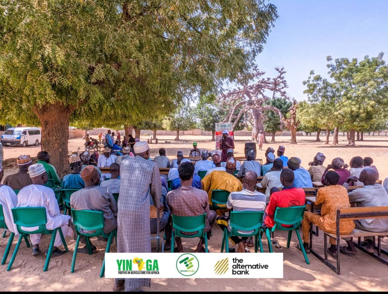 Jigawa Improved Seeds — Photo 13